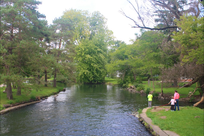 Albion River Trail